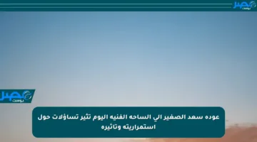 عودة سعد الصغير إلى الساحة الفنية اليوم تثير تساؤلات حول استمراريته وتأثيره